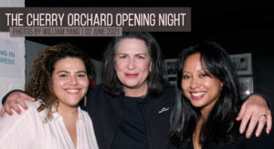Read more about the article Pamela Rabe at The Cherry Orchard Opening Night